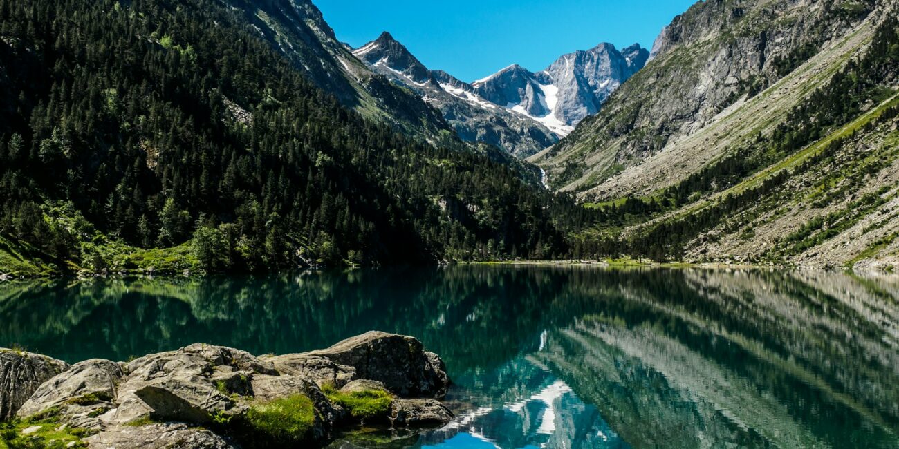 Photo de Damien Petit sur Unsplash