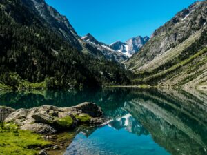 Photo de Damien Petit sur Unsplash